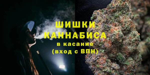 ПСИЛОЦИБИНОВЫЕ ГРИБЫ Верея
