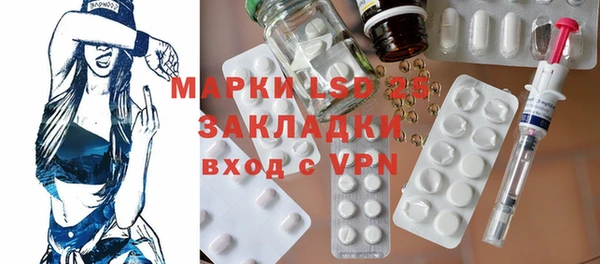 ПСИЛОЦИБИНОВЫЕ ГРИБЫ Верея