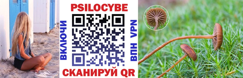 Купить где  Пермь  Псилоцибиновые грибы Cubensis 